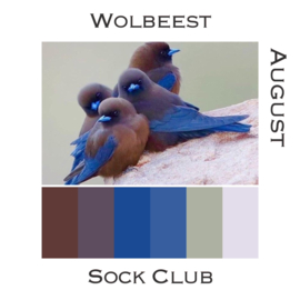 Sock Club Vogels - August