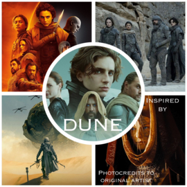 Dune - 24 dagen/4 weken - betaling in een keer