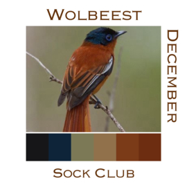 Sokkenclub Vogels December