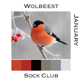 Sokkenclub Vogels Januari