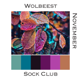 Sock Club Colour Explosions - November
