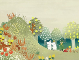 De Moomins - 24 dagen spin advent - betaling in termijnen