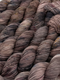 Dried Seed Pods