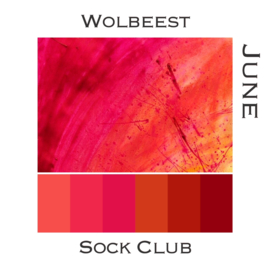 Sock Club Colour Explosions - Juni