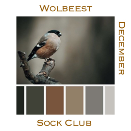 Sock Club - Birds  - December