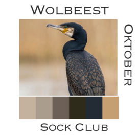 Sokkenclub Vogels Oktober