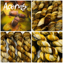 Acorns …