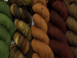 Autumnal Colours