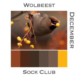 Sock Club Vogels - December