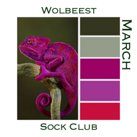 Sock Club - Reptielen/Kikkers/Insecten  - Maart