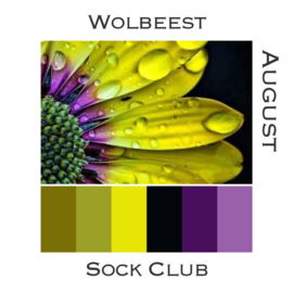 Sock Club Colour Explosions - August