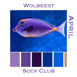 Sokkenclub Colour Explosions April