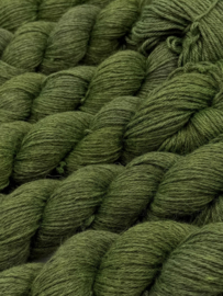 Soft Moss Green
