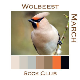 Sokkenclub Vogels Maart