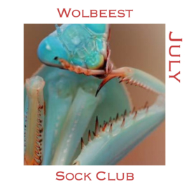 Sock Club - Reptiles/Frogs/Insects  - July