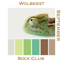 Sock Club - Reptiles/Frogs/Insects  - September