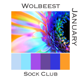 Sock Club Colour Explosions - January