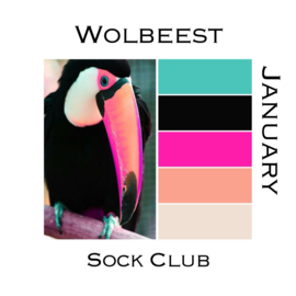 Sokkenclub Colour Explosions Januari