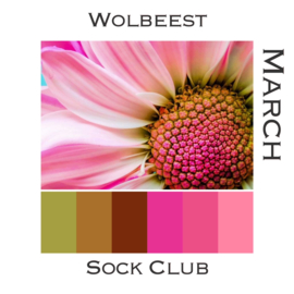 Sock Club Colour Explosions - March