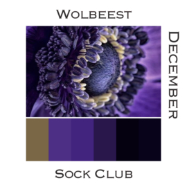 Sock Club Colour Explosions - December