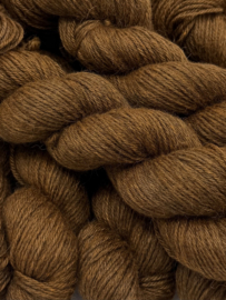 Soft Warm Brown