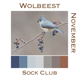 Sokkenclub Vogels November