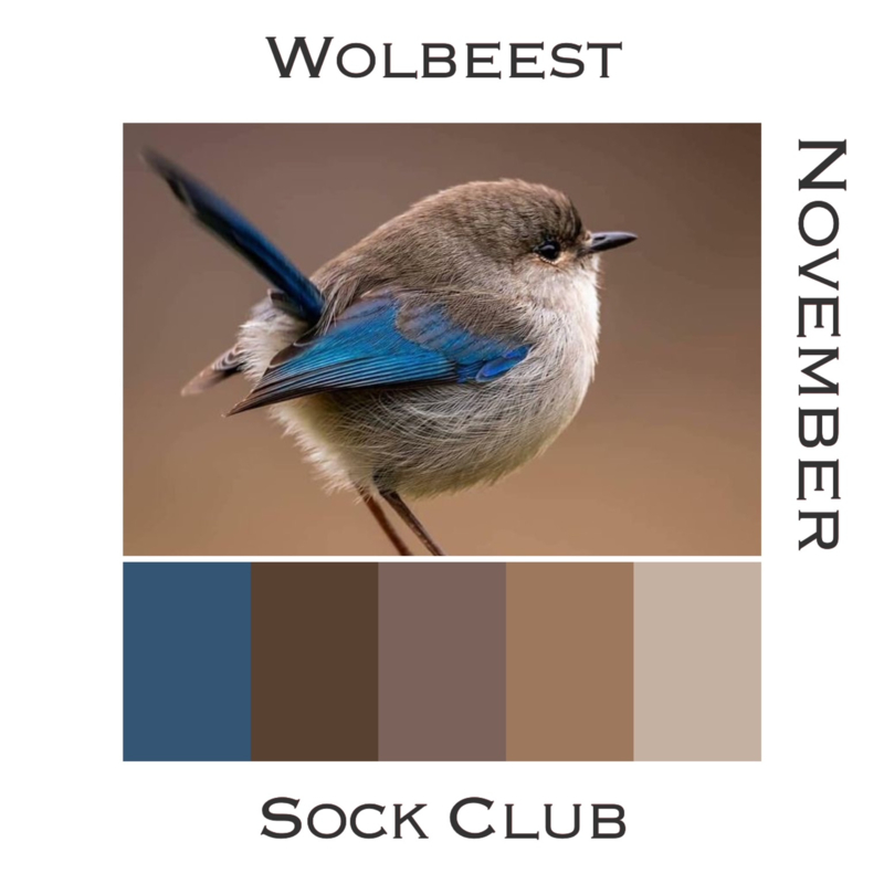 Sock Club Vogels - November