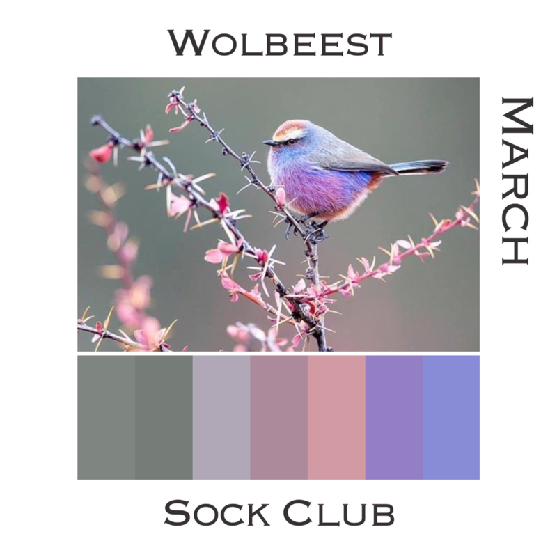 Sock Club Vogels - March