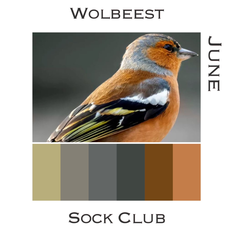 Sock Club Vogels - June