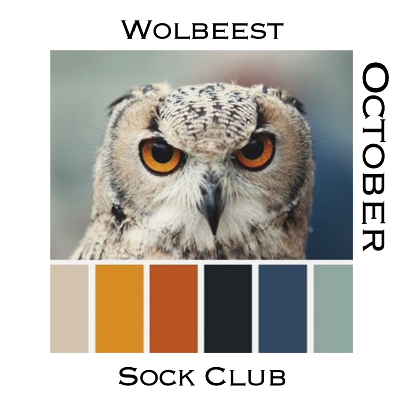 Sock Club - Birds  - October