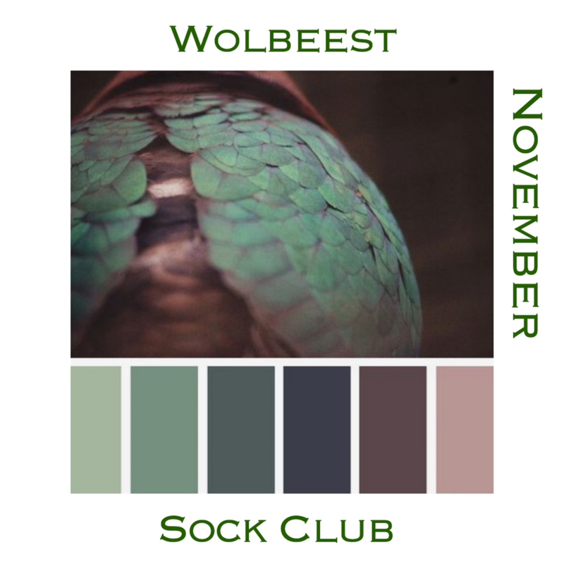 Sock Club - Vogels  - November