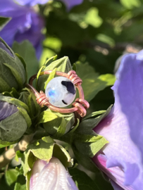 Maansteen ring (8mm)