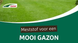 DCM Gazonmest stof 3 kg tot 40m2