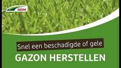 Gazonstart 1,5 kg tot 40m2