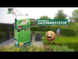 DCM Gazonmest stof 1,5 kg tot 20m2