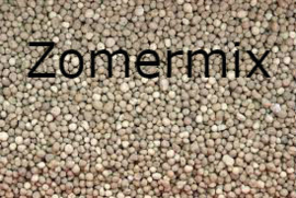 Gazon Zomerbemesting 1kg(voor 25m2)