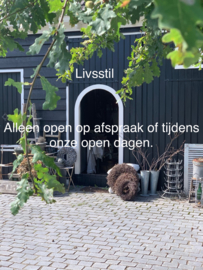 Showroom Livsstil