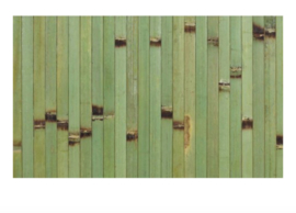 Placemat rechthoekig Bamboo (24 stuks) (groen, naturel en bruin)