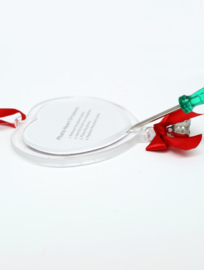 Set kerstboomhangers