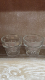 Bloempotje glas