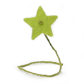 Vilt ster klein *Groen*