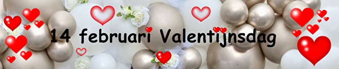 https://www.ballontoppers.nl/c-5185521/valentijn/