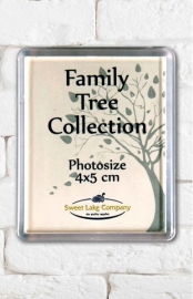 740   Losse magneet fotolijstjes voor familie stamboom