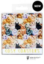 9000 Rabbit coaster
