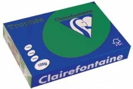 Clairefontaine gekleurd papier Trophée Pastel dennegroen
