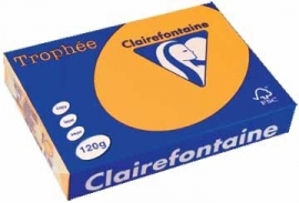 Clairefontaine gekleurd papier Trophée Pastel goudgeel