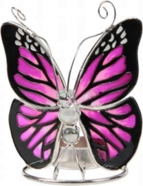 Tiffany Butterfly 244