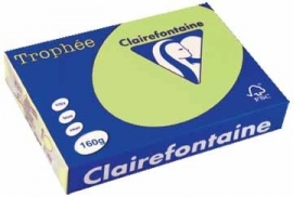 Clairefontaine gekleurd papier Trophée Pastel A4 160 g/m² groen
