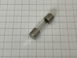 Zekering 1,25A traag 5 x 20mm