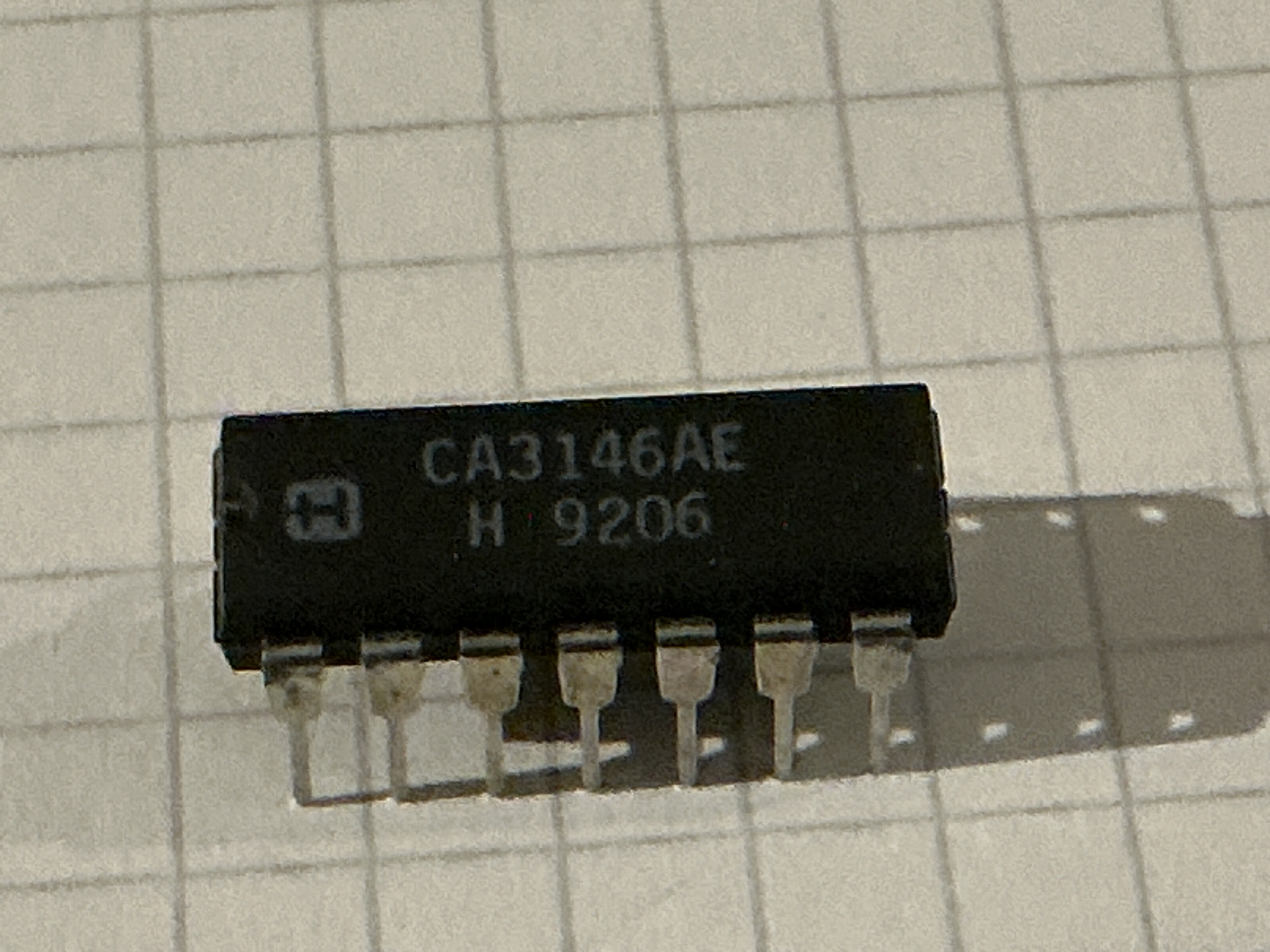 CA3146